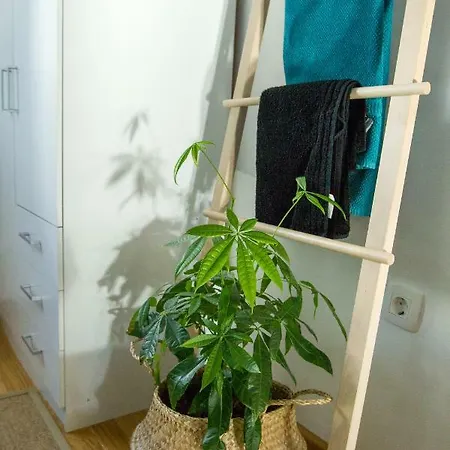Apartment Sweet *