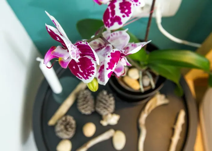 Διαμέρισμα Sweet *